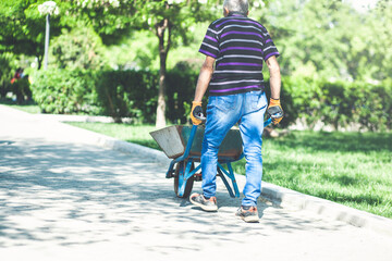 portrait from the back of an elderly gardener carrying weeds from the garden in a cart