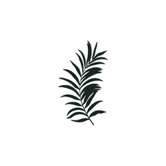 Silhouette of hand drawn tropical leaf.