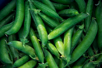Freshly picked organic green peas. Close up. Background.
