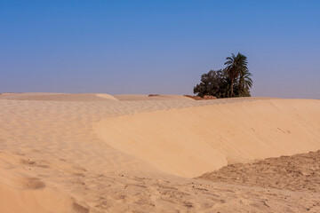 Fototapeta na wymiar Sand dunes in the desert in Tunisia.