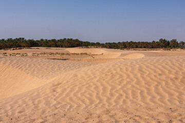 Naklejka premium Sand dunes in the desert in Tunisia.