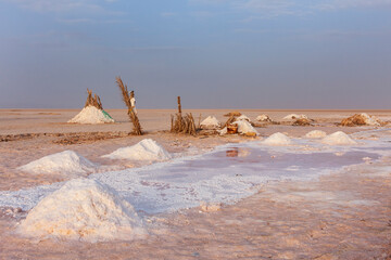 Dried salt lake Chott el Djerid in Tunisia.
