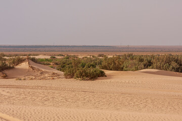 Sand dunes in the desert in Tunisia.