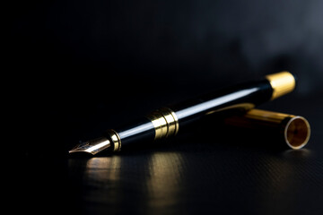 Beautiful fountain pen. under exposed photo on a black background