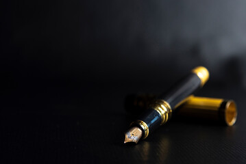Beautiful fountain pen. under exposed photo on a black background