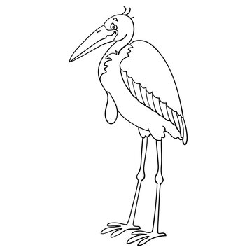 Marabou bird.  Black and white picture in cartoon style. Isolated on white background. For coloring book. Vector illustration. 