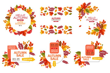 Hello autumn, leaves composition, autumn leaves flat, colored leaves isolated, autumn elements, autumn banner, sale banner set vector illustration
