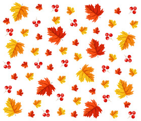 Fototapeta na wymiar Hello autumn, leaves pattern, autumn leaves flat, colored leaves isolated, autumn elements, autumn banner, sale banner set vector illustration