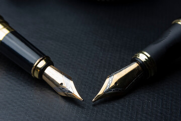 Beautiful fountain pen. under exposed photo on a black background