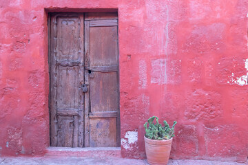 A cactus in a terra cotta planter outside the carved wooden door of a stucco building