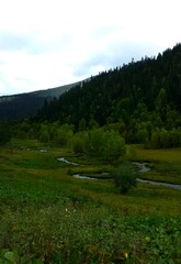 landscape with green grass and mountains