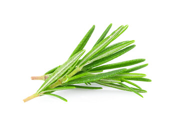 Fototapeta premium Rosemary isolated on white background