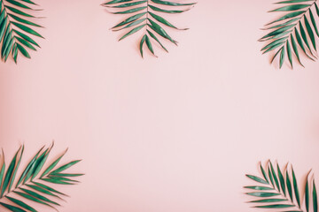 Fototapeta premium palm leaves background