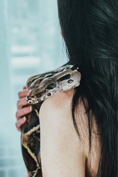 Young Woman With Long Hair And Snake