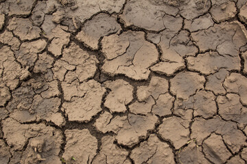 Drought-prone land close-up