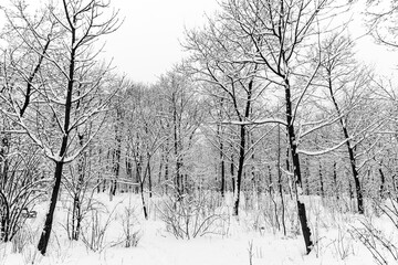 Winterlandschaft