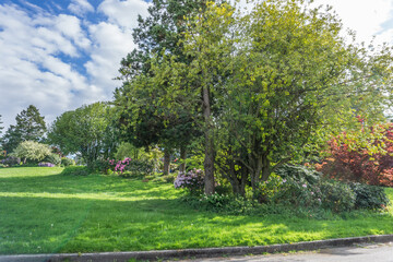 Fototapeta premium City Park With Flowers 2