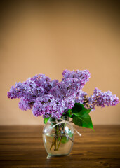 bouquet of beautiful spring flowers of lilac on an orange