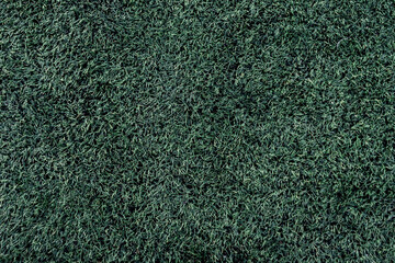 texture, background green lawn. surface a grass.