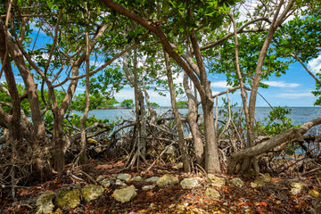 Scenic Florida Keys