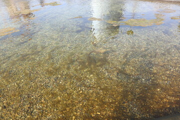 water in the river