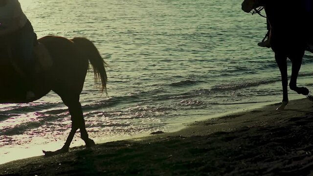 Horses running at the beach in Greece