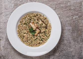 Risotto with porcini mushroom gourmet plate copy space.