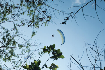 Playing parasailing on a sunny day