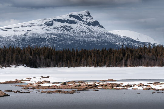 Dreamy winter landscape.