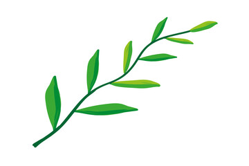 Green leaves on white background. 