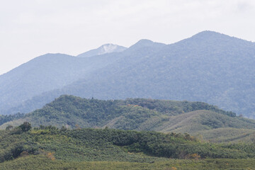 Obraz premium Green forest on mountain ,Thailand
