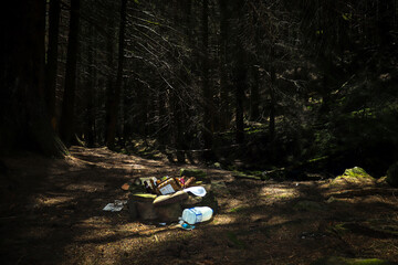 rubbish and litter in forest