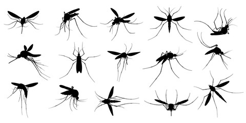Mosquito silhouette. Flying mosquitoes, swarm insects spreading diseases, dangerous infection and viruses, malaria and dengue. Vector gnats black silhouette, mosquito insect bloodsucking illustration - obrazy, fototapety, plakaty