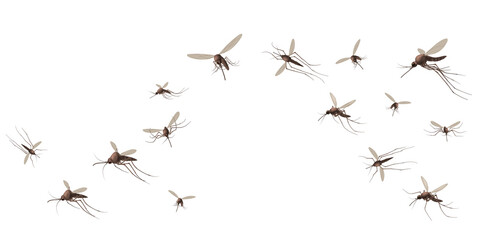 Flying mosquito insects. Gnat and pest, spreading viruses and diseases, gnats flock, repellent or spray promo poster vector concept. Malaria mosquito buzzing, infectious parasitic spreading - obrazy, fototapety, plakaty