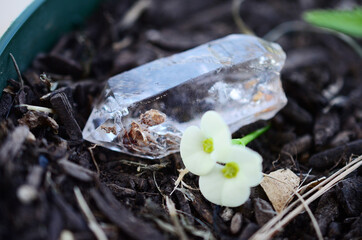 High Quality Clear Quartz with Hematite inclusions. Healing stone with Unique formations, Quartz Scepter with Hematite. Witches Crystal healing crystals, macro photo bright natural lighting. 