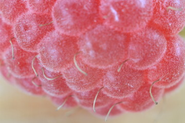 some ripe raspberries shot in macro mode with the increase