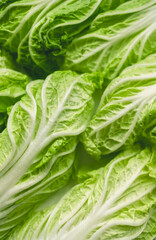 Chinese cabbage, background texture of green leaves, close up.