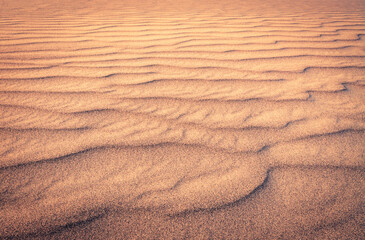 Lines in the Sand