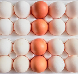Fresh chicken eggs background. Flat lay close-up view of raw chicken eggs in egg plastic box. Natural organic egg. Healthy real food
