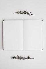 blank empty pages with a branch and leaves on white background