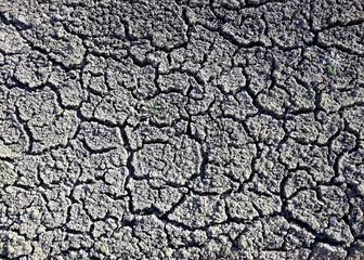 Dry cracked soil in the spring. Texture under the bright sun. Gray earth