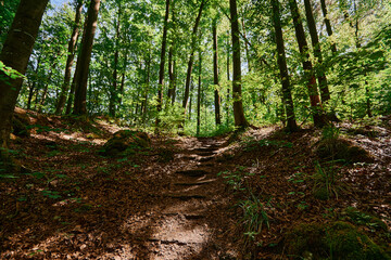 Wandern in der Fränkischen Schweiz.