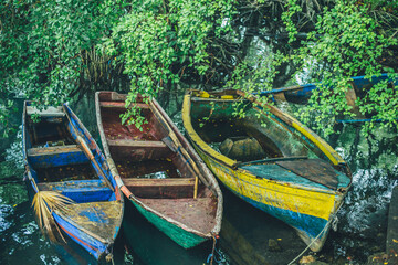 Three old wooden boats on a background of green trees