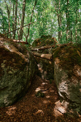 Wandern in der Fränkischen Schweiz.