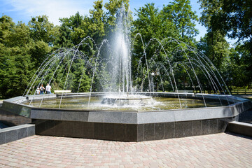 Jet fountain in the park on a background of trees and sky.
