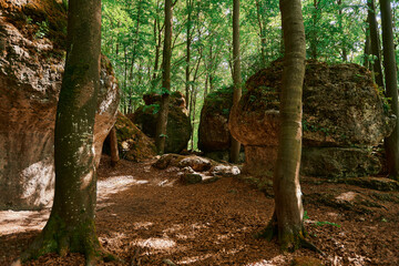 Wandern in der Fränkischen Schweiz.