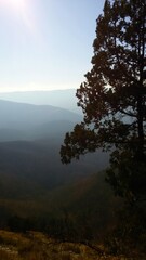 morning in the mountains