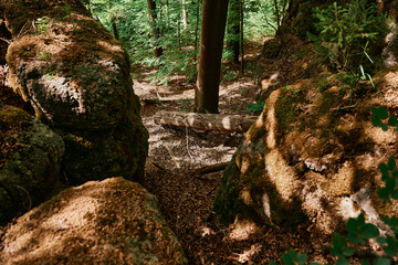 Wandern in der Fränkischen Schweiz.