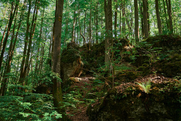 Wandern in der Fränkischen Schweiz.