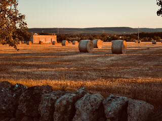 the Apulian countryside